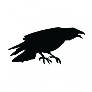 Crow Athletics 