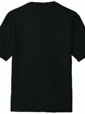 Podiumwear Men's 100% Poly Performance T-Shirt with Print